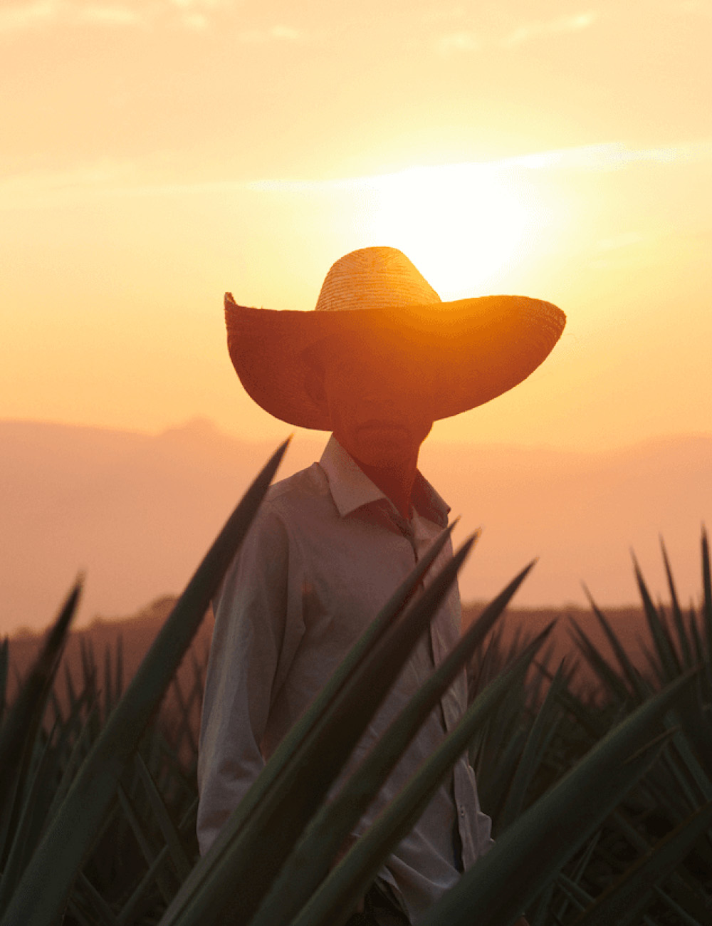 Mensaje del Consejo Directivo