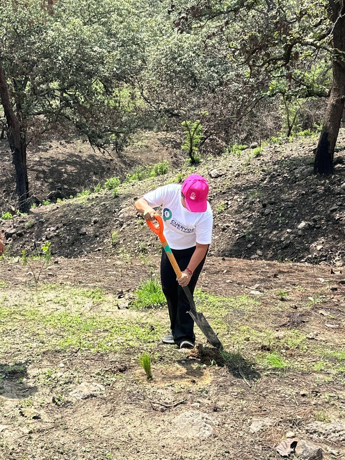 Voluntariado