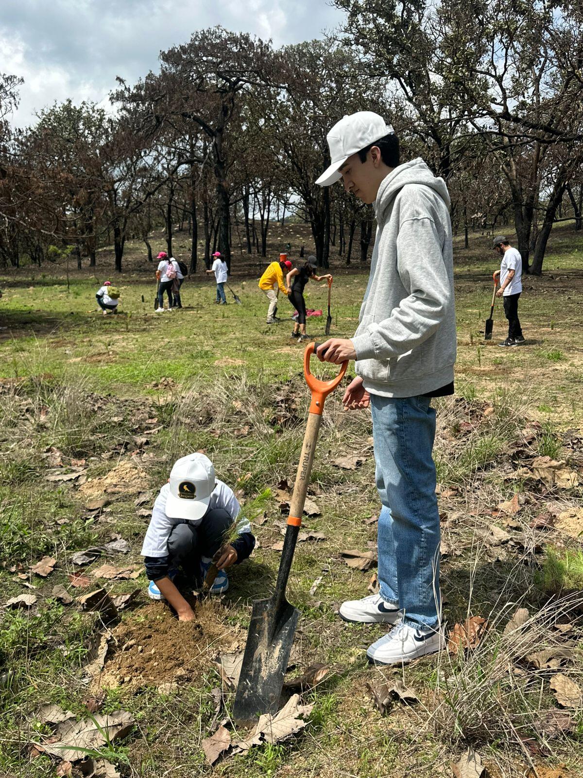 Voluntariado