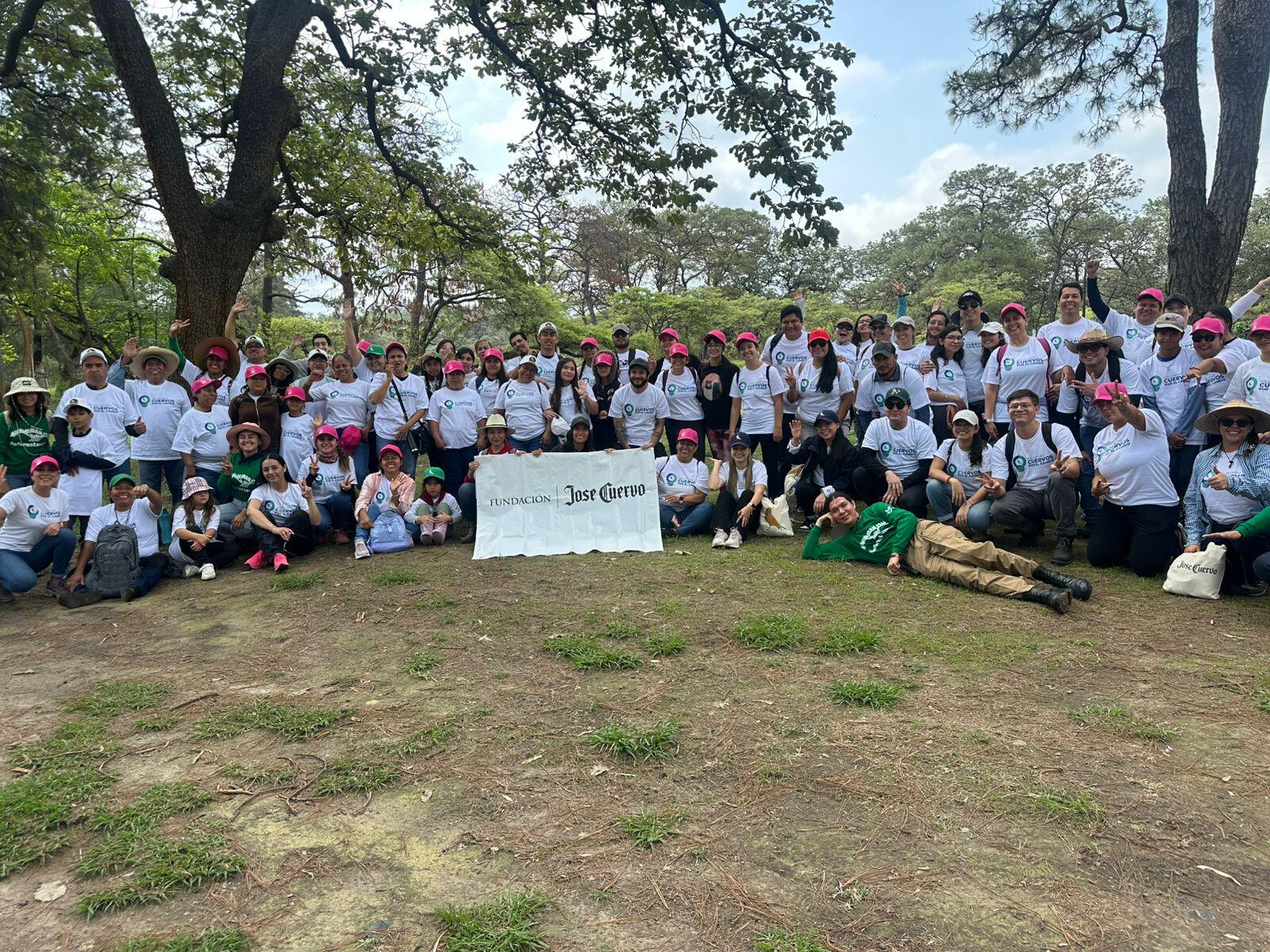 Voluntariado