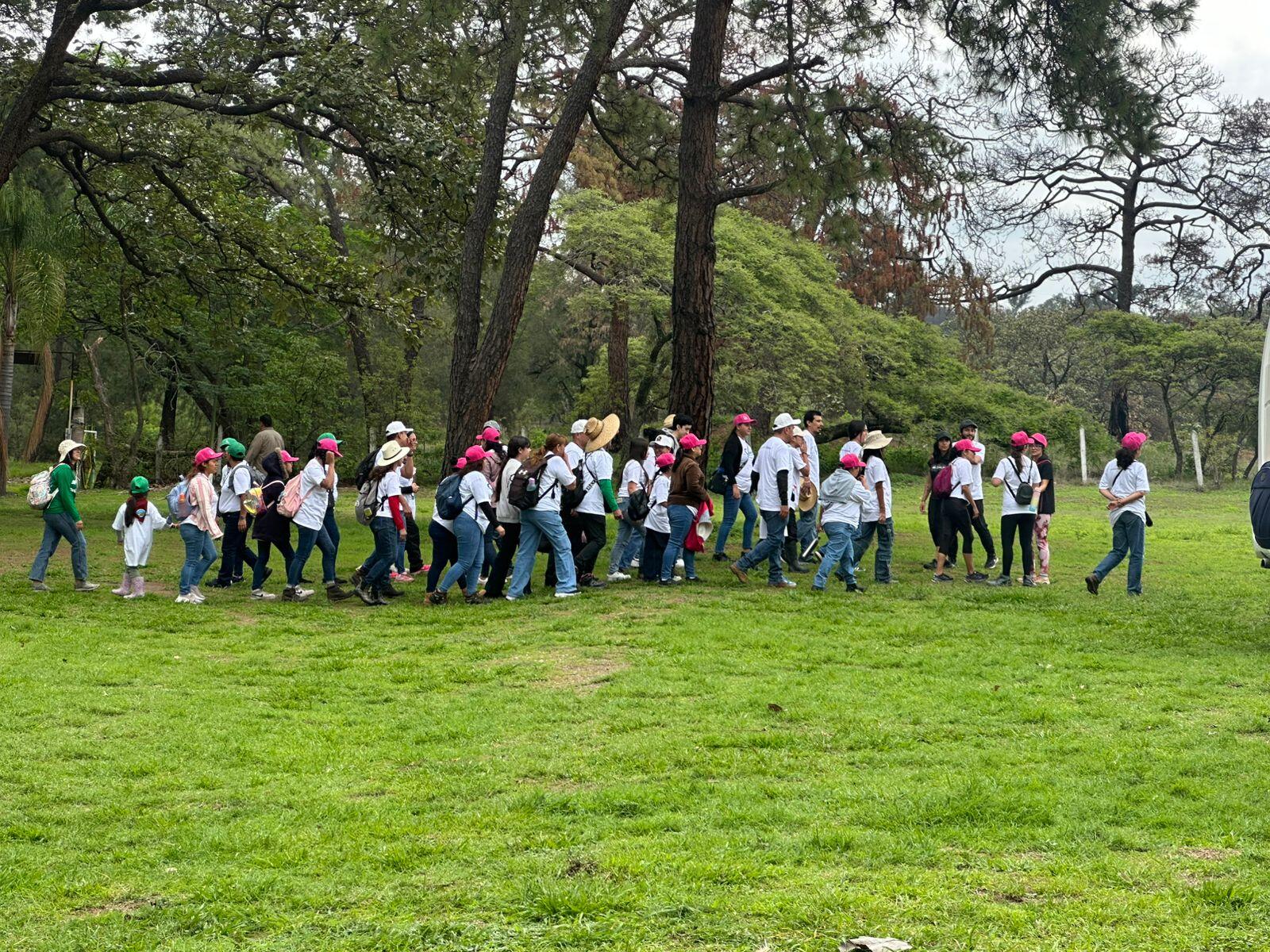 Voluntariado