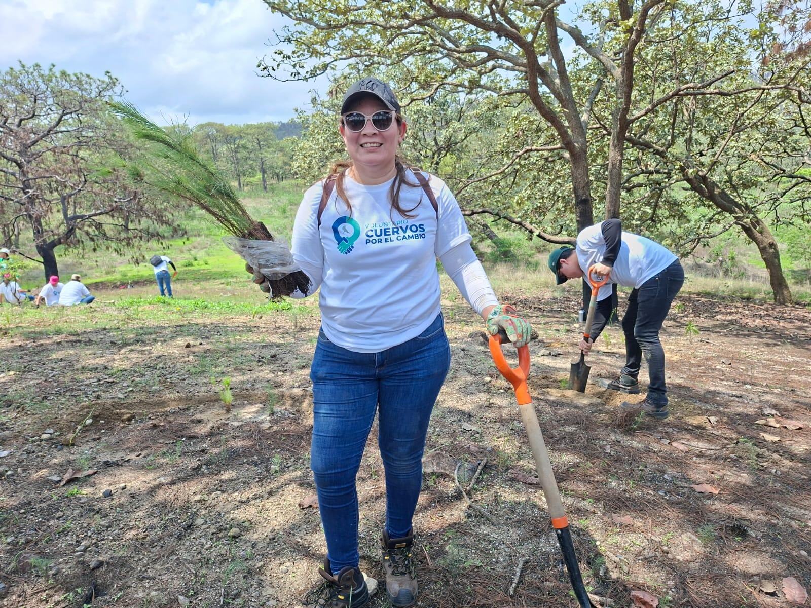 Voluntariado