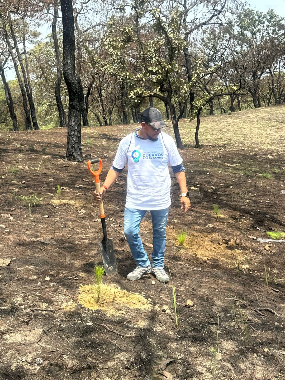 Voluntariado