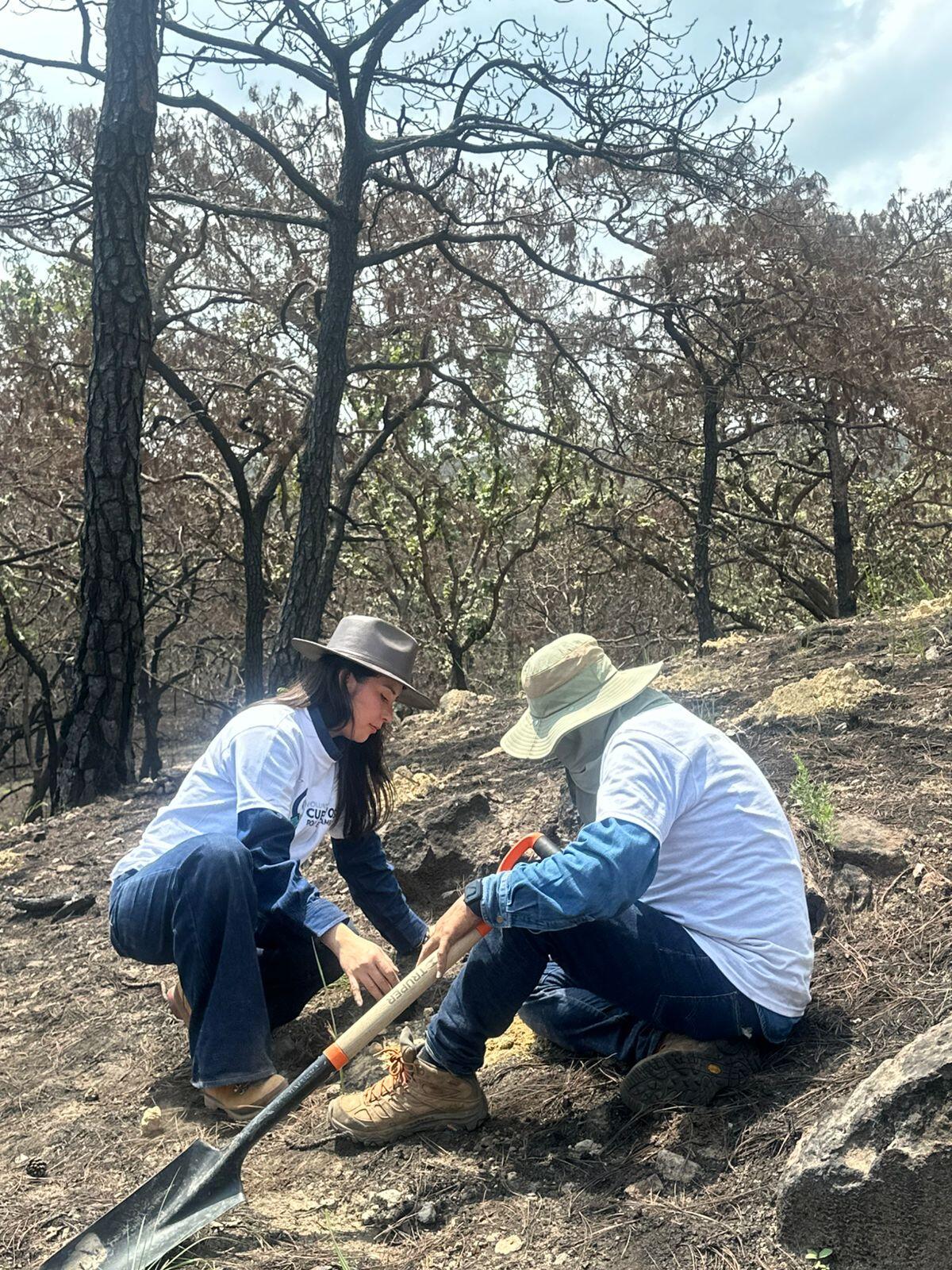 Voluntariado